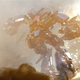 Image for article titled Transformers 3 screencaps